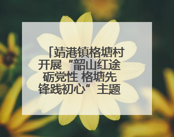 靖港镇格塘村开展“韶山红途砺党性 格塘先锋践初心”主题党日活动