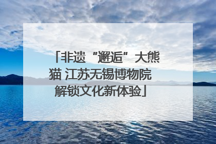 非遗“邂逅”大熊猫 江苏无锡博物院解锁文化新体验