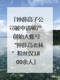 钟薛高子公司被申请破产 创始人账号“钟薛高老林”粉丝仅1800余人