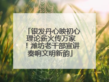 银发丹心映初心 理论薪火传万家！潍坊老干部宣讲奏响文明新韵