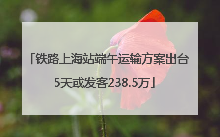 铁路上海站端午运输方案出台 5天或发客238.5万