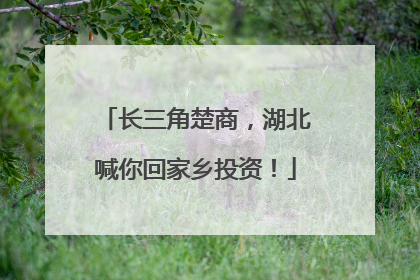 长三角楚商，湖北喊你回家乡投资！