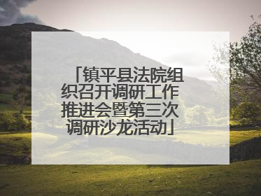 镇平县法院组织召开调研工作推进会暨第三次调研沙龙活动