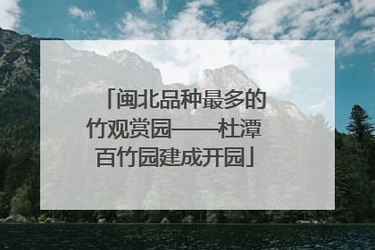 闽北品种最多的竹观赏园——杜潭百竹园建成开园