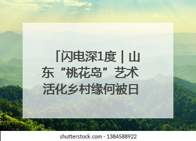 闪电深1度｜山东“桃花岛”艺术活化乡村缘何被日本友人推介？