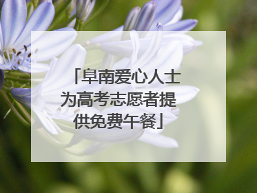 阜南爱心人士为高考志愿者提供免费午餐