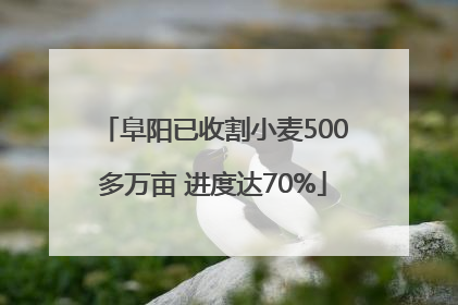 阜阳已收割小麦500多万亩 进度达70%