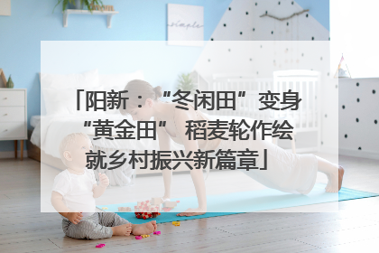阳新：“冬闲田”变身“黄金田” 稻麦轮作绘就乡村振兴新篇章
