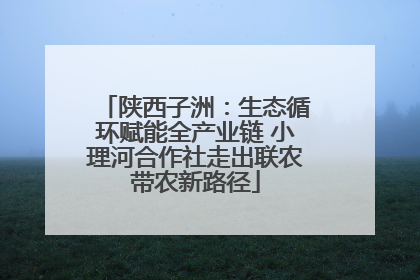 陕西子洲：生态循环赋能全产业链 小理河合作社走出联农带农新路径