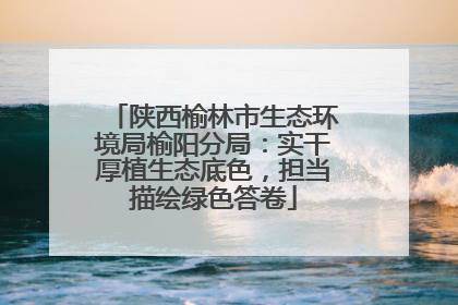 陕西榆林市生态环境局榆阳分局：实干厚植生态底色，担当描绘绿色答卷