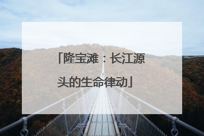 隆宝滩：长江源头的生命律动
