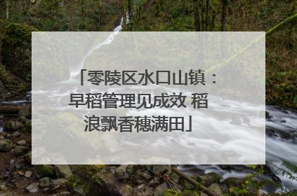 零陵区水口山镇：早稻管理见成效 稻浪飘香穗满田