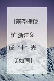 雨季插秧忙 浙江文成“丰”光美如画