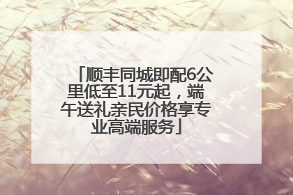 顺丰同城即配6公里低至11元起，端午送礼亲民价格享专业高端服务
