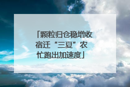 颗粒归仓稳增收 宿迁“三夏”农忙跑出加速度