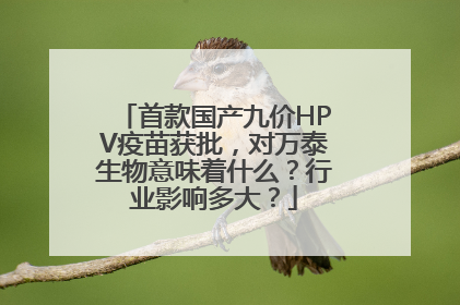 首款国产九价HPV疫苗获批，对万泰生物意味着什么？行业影响多大？