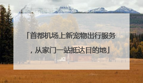 首都机场上新宠物出行服务，从家门一站抵达目的地