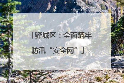驿城区：全面筑牢防汛“安全网”