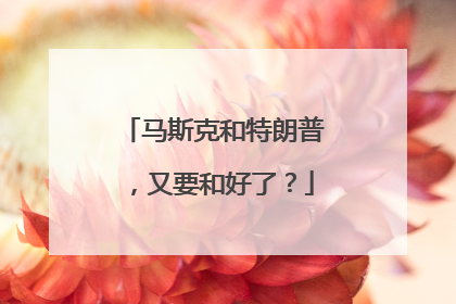 马斯克和特朗普，又要和好了？