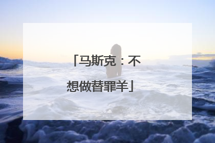 马斯克：不想做替罪羊