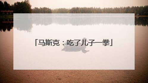 马斯克：吃了儿子一拳