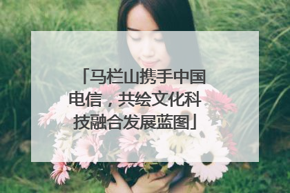 马栏山携手中国电信，共绘文化科技融合发展蓝图