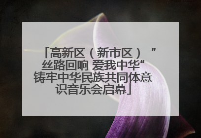 高新区（新市区）“丝路回响 爱我中华”铸牢中华民族共同体意识音乐会启幕
