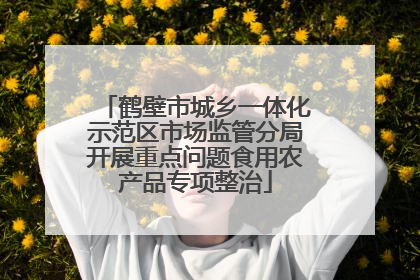 鹤壁市城乡一体化示范区市场监管分局开展重点问题食用农产品专项整治