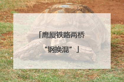 鹰厦铁路两桥“钢换混”