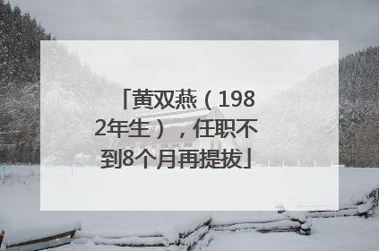黄双燕（1982年生），任职不到8个月再提拔