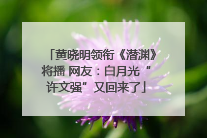 黄晓明领衔《潜渊》将播 网友：白月光“许文强”又回来了