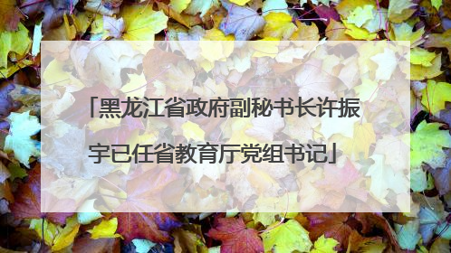 黑龙江省政府副秘书长许振宇已任省教育厅党组书记