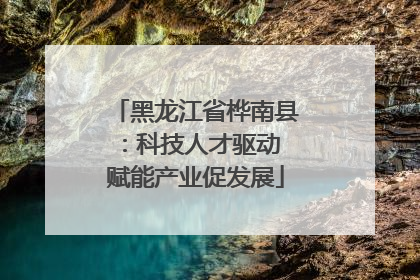 黑龙江省桦南县：科技人才驱动 赋能产业促发展