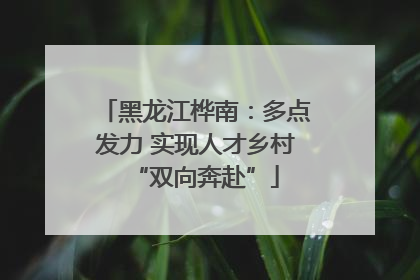 黑龙江桦南：多点发力 实现人才乡村“双向奔赴”