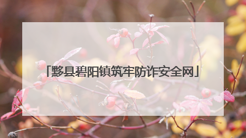 黟县碧阳镇筑牢防诈安全网