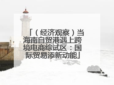 （经济观察）当海南自贸港遇上跨境电商综试区：国际贸易添新动能