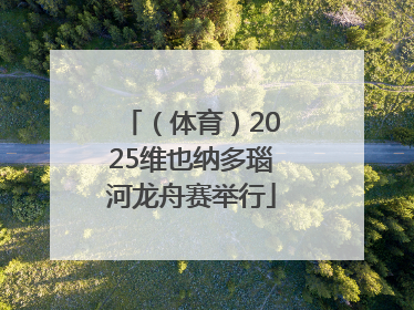 （体育）2025维也纳多瑙河龙舟赛举行