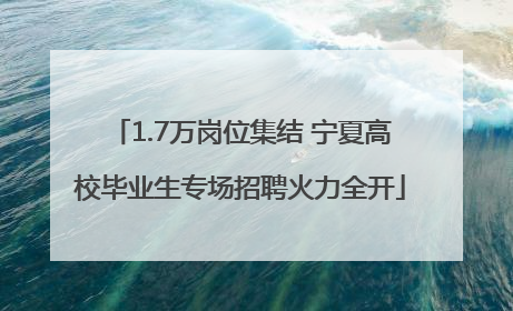 1.7万岗位集结 宁夏高校毕业生专场招聘火力全开