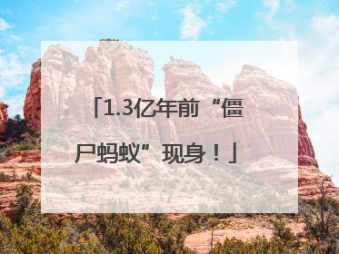 1.3亿年前“僵尸蚂蚁”现身！