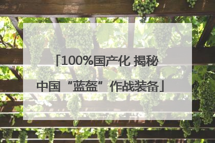 100%国产化 揭秘中国“蓝盔”作战装备