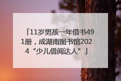 11岁男孩一年借书491册，成湖南图书馆2024“少儿借阅达人”