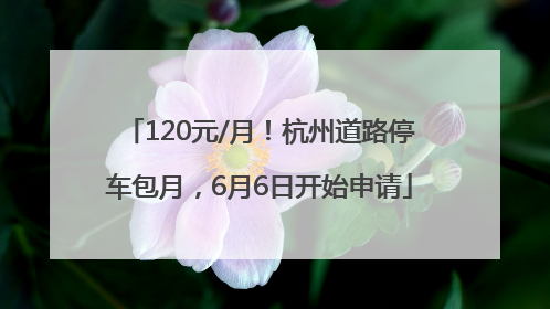 120元/月！杭州道路停车包月，6月6日开始申请