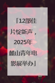 12部佳片绽新声，2025年麓山青年电影展举办