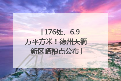 176处、6.9万平方米！德州天衢新区晒粮点公布