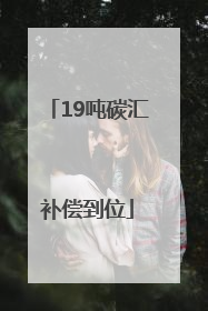 19吨碳汇补偿到位