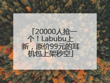 20000人抢一个！Labubu上新，原价99元的耳机包上架秒空