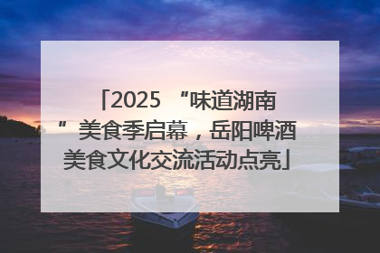 2025 “味道湖南”美食季启幕，岳阳啤酒美食文化交流活动点亮