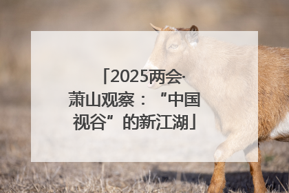 2025两会·萧山观察：“中国视谷”的新江湖