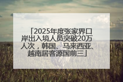 2025年度张家界口岸出入境人员突破20万人次，韩国、马来西亚、越南居客源国前三