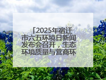 2025年宿迁市六五环境日新闻发布会召开，生态环境质量与营商环境双优化